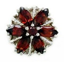 GARNETS IN A FLOWER DESIGN 2CT TW