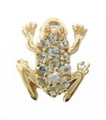 LDS SOL BACK AQUA FROG SLIDE