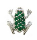 LDS SOL BACK EMER FROG SLIDE